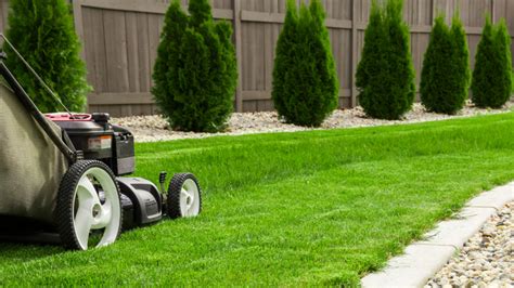 Say Hello to a Weed-Free Lawn with Yard Magic Lawn Treatment